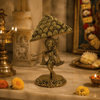 Krishna Goverdhan Idol - Lifestyle Shot with Devotee